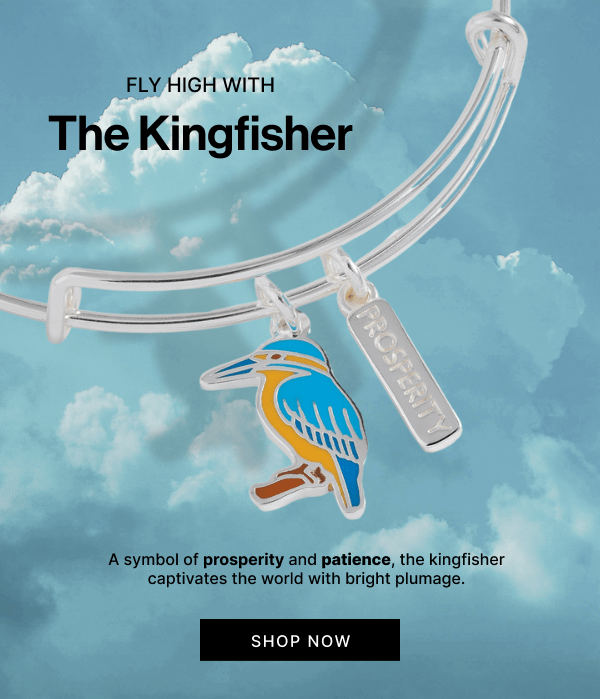 FLY HIGH WITH THE KINGFISHER | SHOP NOW