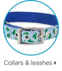 Collars & leashes.
