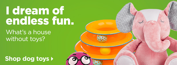 Shop dog toys >