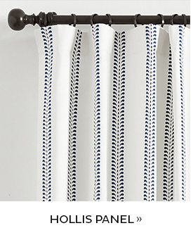 Hollis Panel