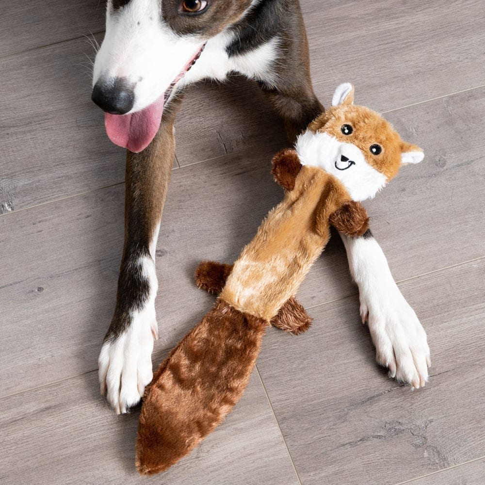 Image of Sam the Squirrel- No Stuffing Squeaky Plush Toy
