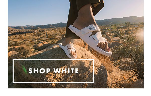 SHOP WHITE