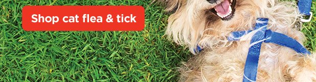 Shop cat flea & tick.