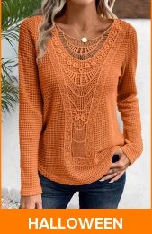 Terracotta Lace Long Sleeve Round Neck T Shirt