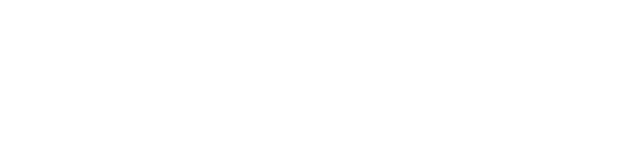 YOUR VOICE—BEST REMOTE EVER