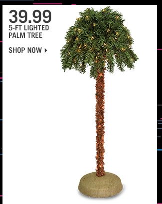 Shop 39.99 5-Ft Lighted Palm Tree