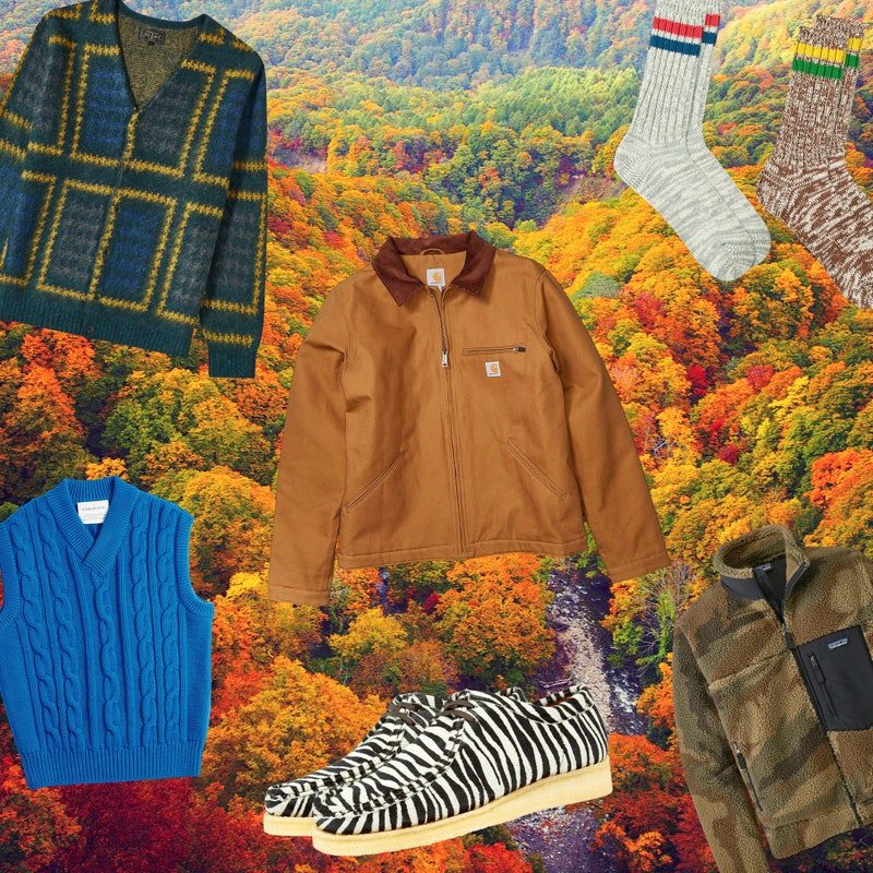 An assortment of clothing on a background of fall foliage