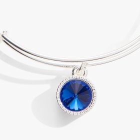 September Birthstone Charm Bangle | Shop Now