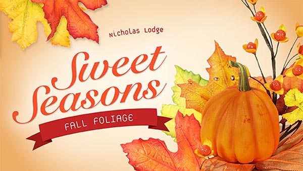 Sweet Seasons: Fall Foliage