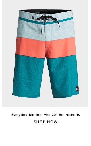 Product 1 - Everyday Blocked Vee 20 In Boardshorts