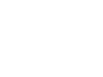 Saddlemen