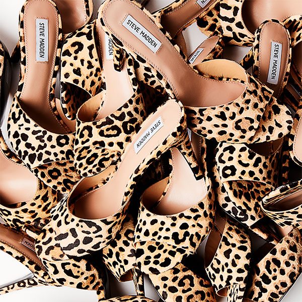 Have you seen ERIN in leopard?! - Steve 