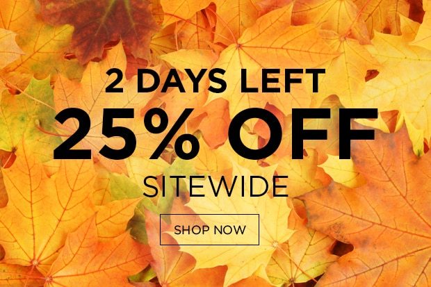 25% Sitewide