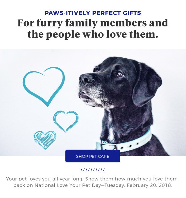 Paws-itively Perfect Gifts | For furry family members and the people who love them. | Your pet loves you all year long. Show them how much you love them back on National Love Your Pet Day—Tuesday, February 20, 2018. | shop pet care