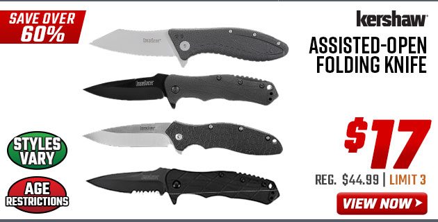 Kershaw Assisted-Open Folding Knife