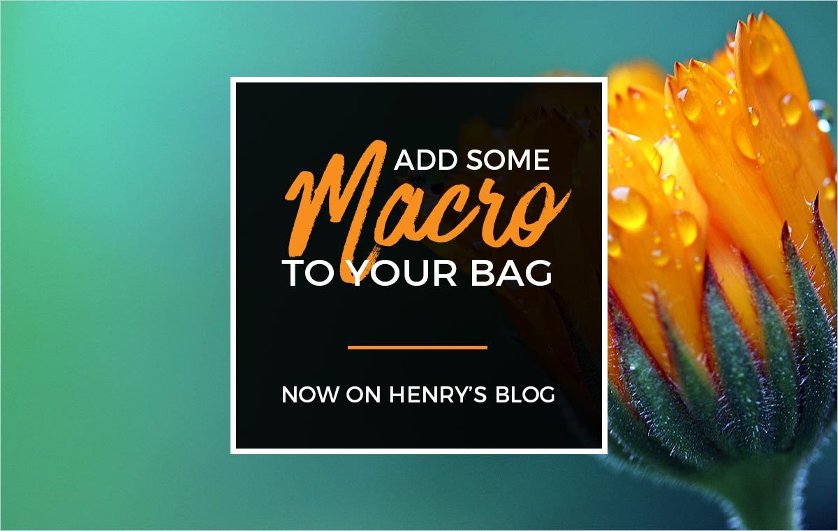 Henry's Blog