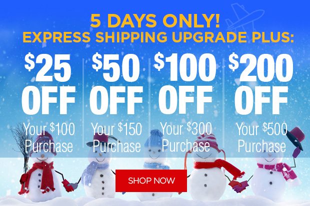 5 Days Only - Express Shipping Upgrade