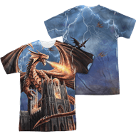 Anne Stokes Dragons Fury T-Shirt