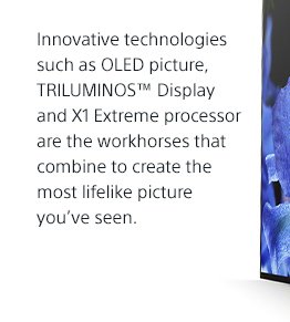 Innovative technologies such as OLED picture, TRILUMINOS(TM) Display and X1 Extreme processor are the workhorses that combine to create the most lifelike picture you've seen.