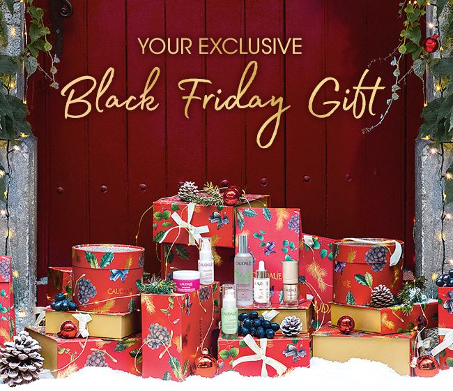 Your exclusive Black Friday Gift