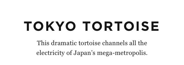 Tokyo Tortoise