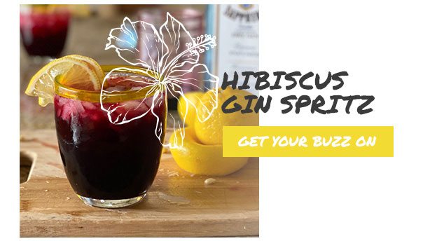 Hibiscus Gin Spritz