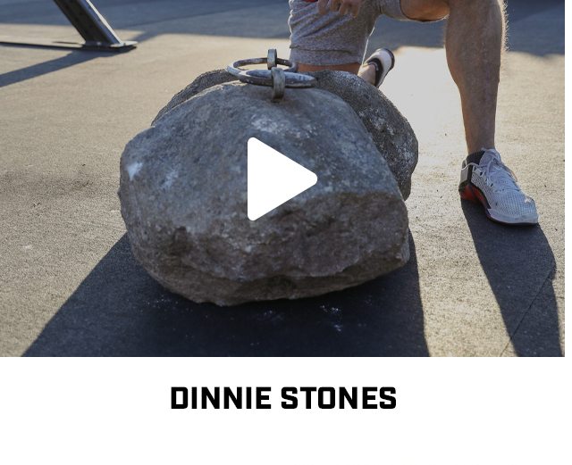 Dinnie Stones