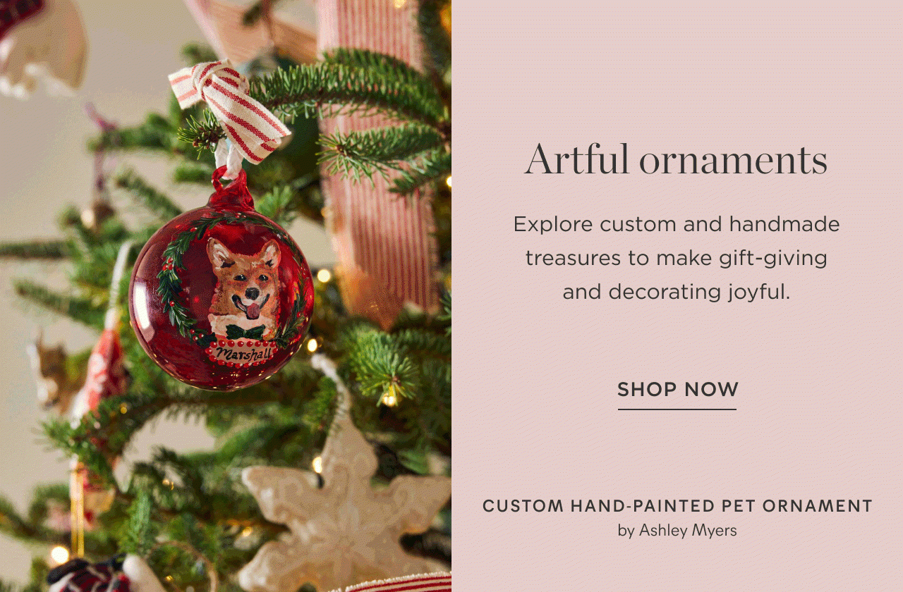 Shop Now