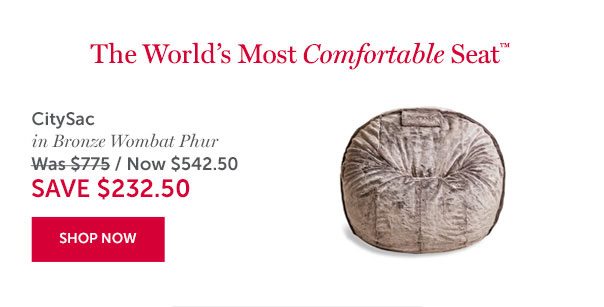 CitySac | SAVE $232.50 | SHOP NOW >>
