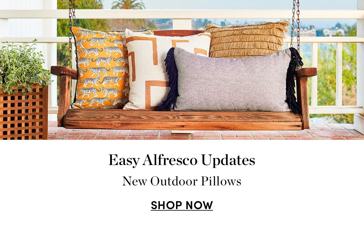 New Outdoor Pillows