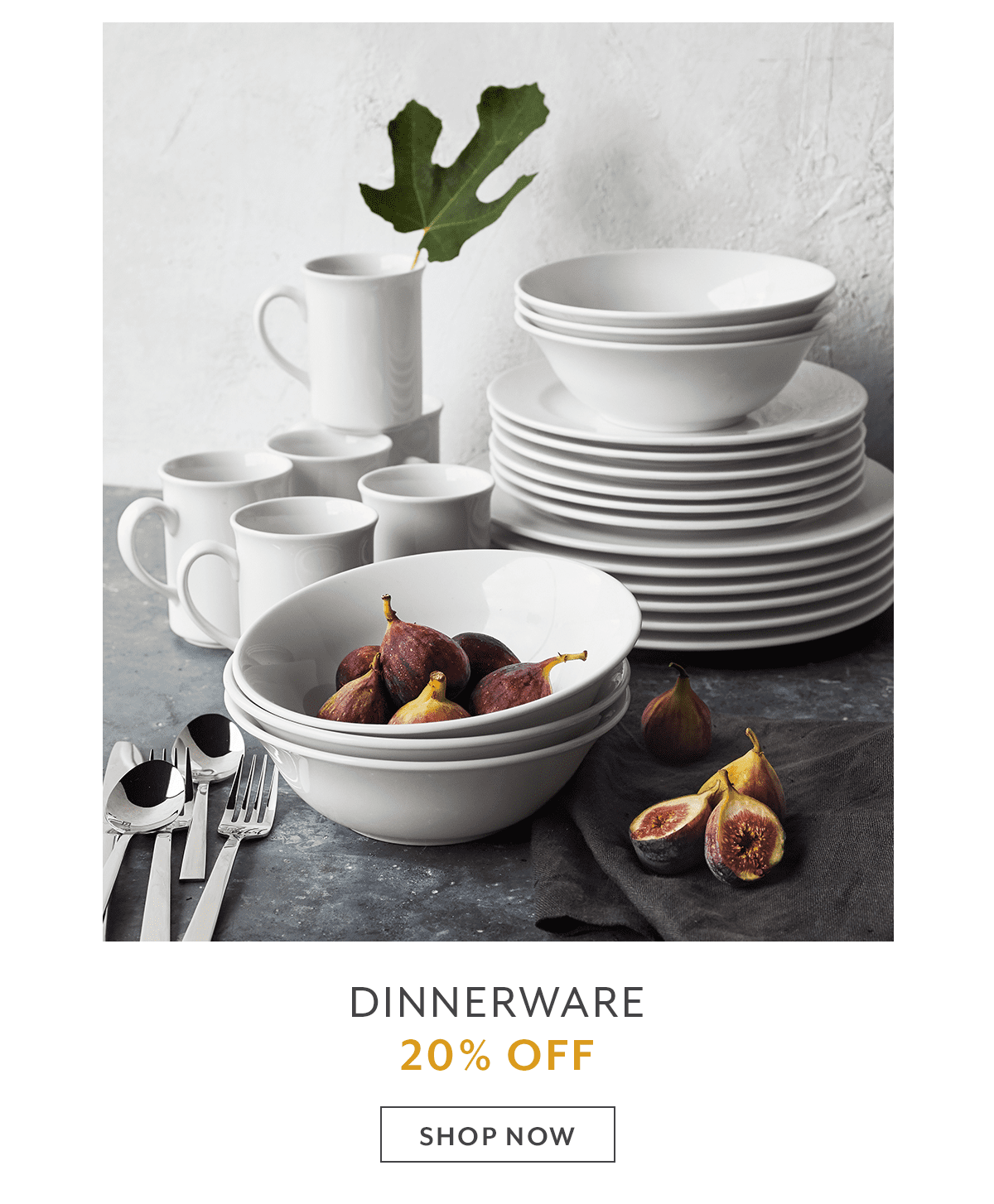 Dinnerware Sets