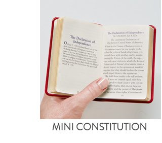 Shop Mini Constitution