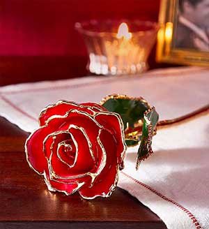 24K Gold Dipped Rose - Red or Pink SHOP NOW