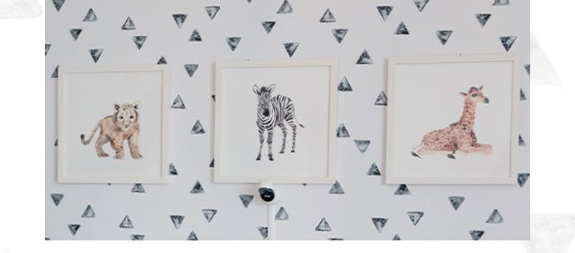 ANIMAL PAINTINGS