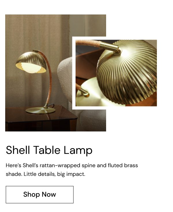 Shell Lamp