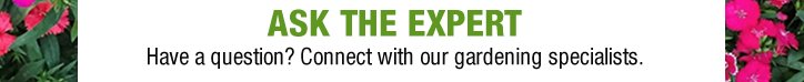ASK THE EXPERT - Have a question? Connect with our gardening specialists.