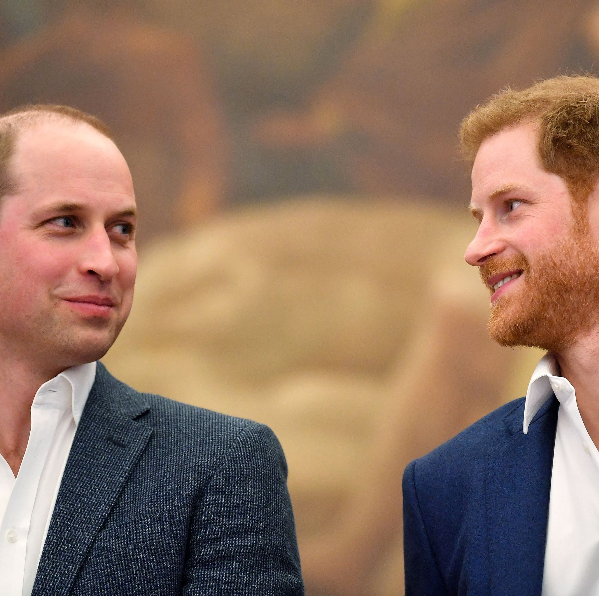 Prince Harry and Prince William Are Back on 