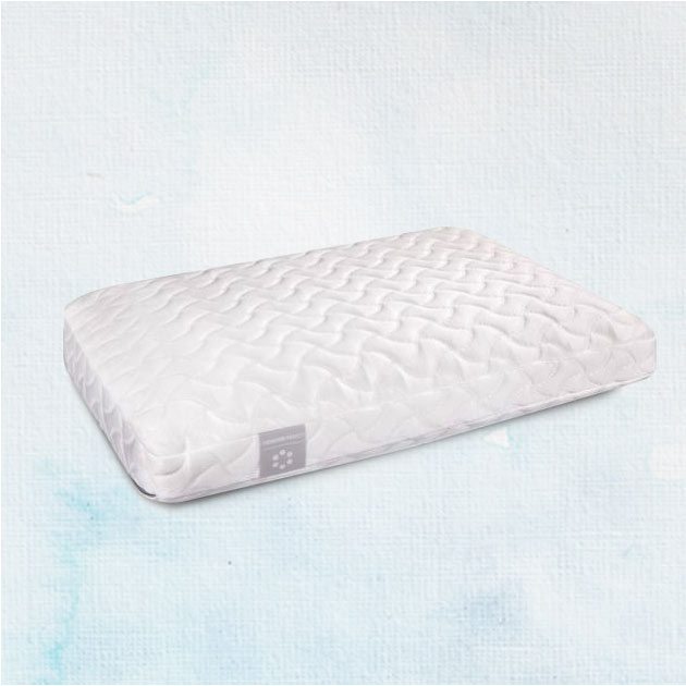 TEMPUR-PEDIC® TEMPUR-Cloud® Standard/Queen Pillow