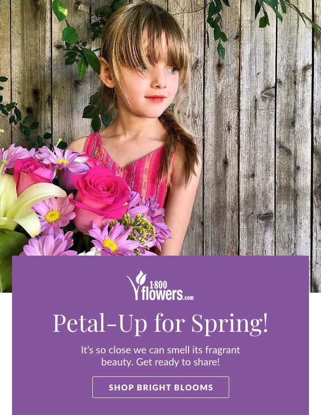 Petal-Up for Spring! Shop Bright Blooms