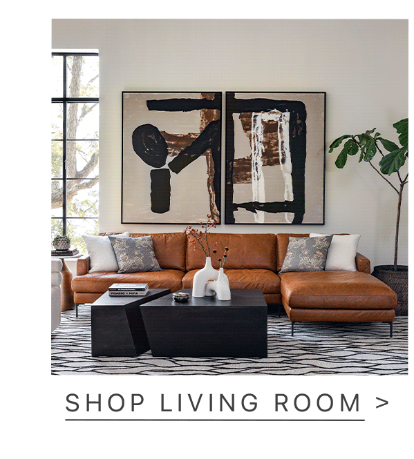 shop living room