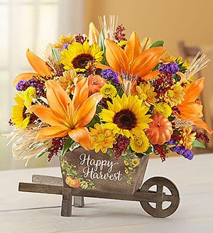 Happy Harvest Wheelbarrow Same-Day Local Florist Delivery SHOP NOW 