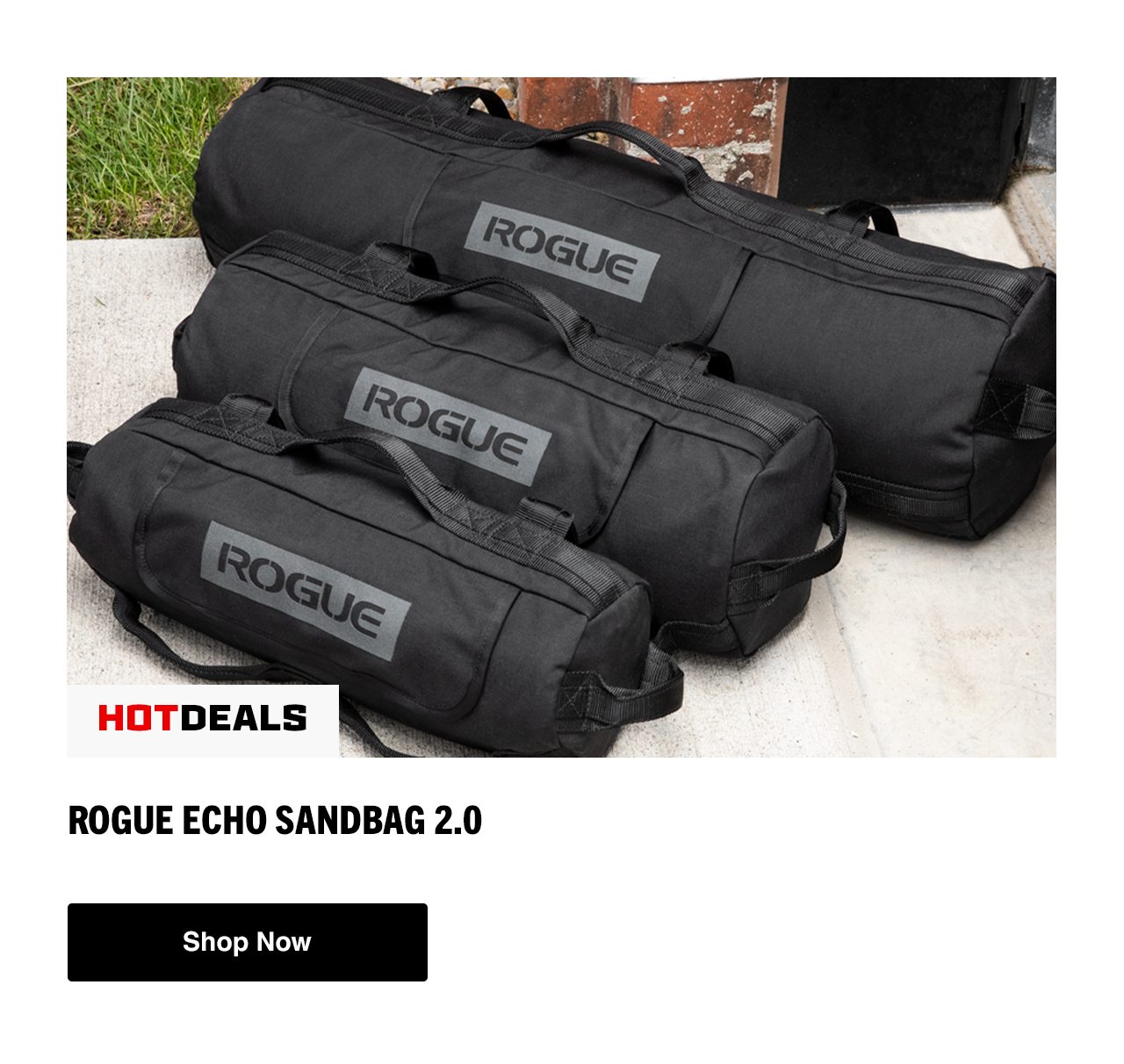 Rogue Echo Sandbag 2.0