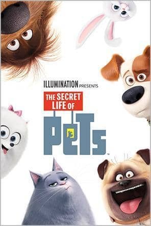 Title 9