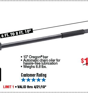 View 40V Lithium Cordless Pole Saw