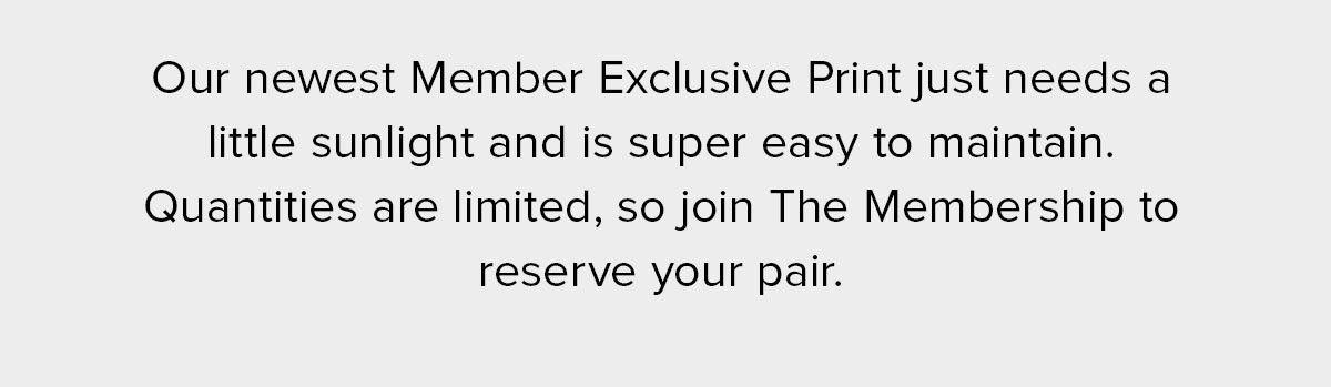 Our newest Member Exclusive Print just needs a little sunlight and is super easy to maintain. Quantities are limited, so join The Membership to reserve your pair.