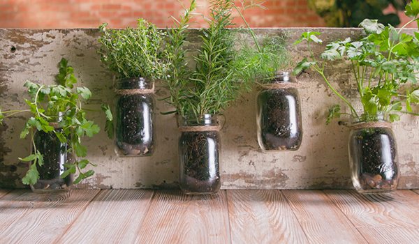 Build a Fun Indoor Herb Garden Out of Mason Jars