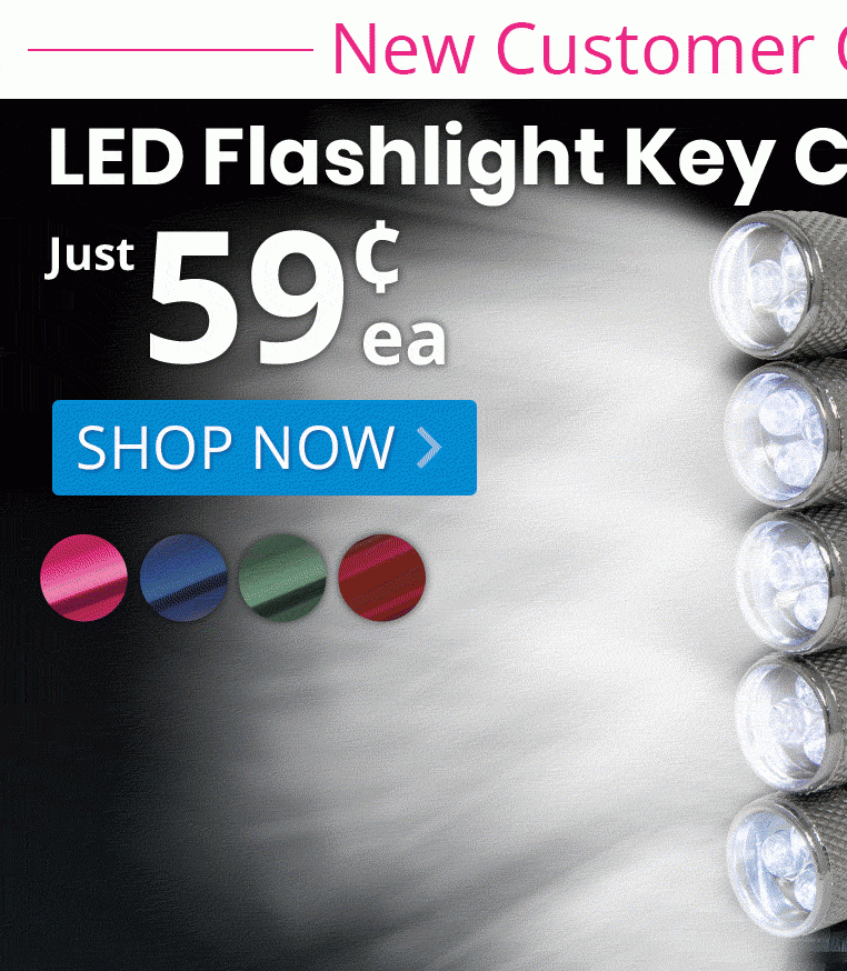 LED Flashlight Key Chains for only 59¢ each!