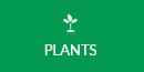 plants-header3