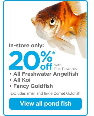 In-store only: 20% off with Pals Rewards.* • All Freshwater Angelfish • All Koi • Fancy Goldfish. Excludes small and large Comet Goldfish. View all pond fish.