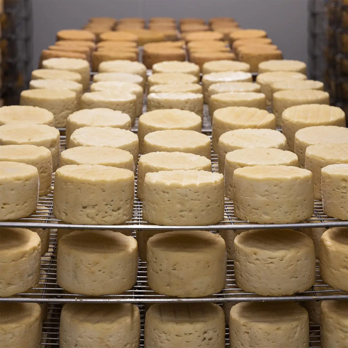 An All-American Cheese From the Atomic Age